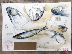 some drawings of fish on top of a piece of paper