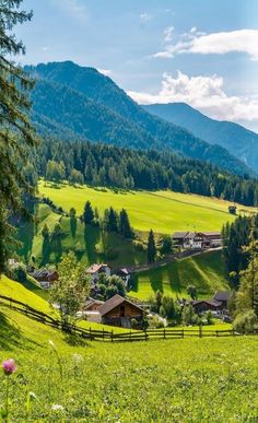 a lush green hillside with houses and mountains in the background