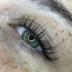 Classic Eyelash Extension, Single Lash Extensions, Eyelash Extensions Classic, Eyelash Extension Course, Natural Fake Eyelashes, Lash Training, Tattoo Artist Tattoo, Lash Extentions, Eyelash Extension Training