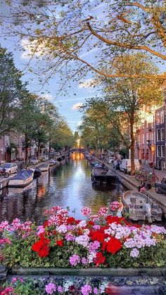 a canal filled with lots of flowers next to trees and buildings on either side of it