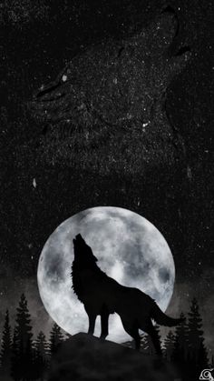 a wolf standing on top of a hill under a full moon