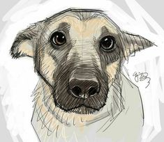 a drawing of a dog looking at the camera