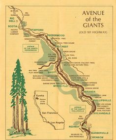 a map of the avenue of the giants