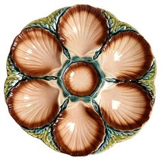 an image of a plate that has shells on the bottom and sides in different colors