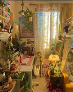 a room filled with lots of clutter and plants next to a window covered in curtains