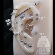 an earring is shown with different types of piercings on the inside of it