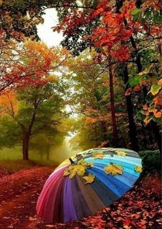 an umbrella sitting in the middle of a forest filled with leaves