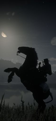 a horse that is standing in the grass by some water with a moon behind it