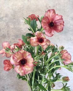 a vase filled with pink flowers on top of a table