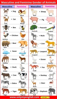 a poster with different types of animals and their names