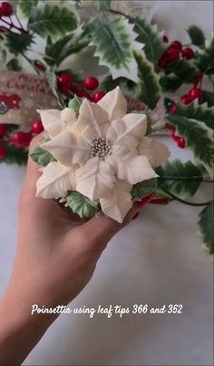 a hand holding a white flower with green leaves and red berries around the edges, in front of a christmas wreath