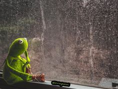 a green stuffed animal sitting on top of a window sill