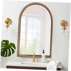 a bathroom with a large mirror above the sink and a plant in front of it