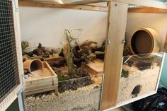 a room filled with lots of different types of plants and animals inside of glass containers