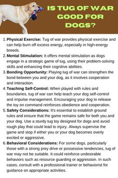 “Both the exercises and the games are very practical so dog owners may use them throughout the day to have a well-trained dog. There are training nuggets throughout, both in the step-by-step instructions and the Troubleshooting sections that will help enrich the lives of both dogs and their owners! To know more about the secrets of brain training of your dog visit my profile and website also Please follow and share my profile more tips and tricks Trained Dog, The Games, Dog Owners, Step By Step Instructions