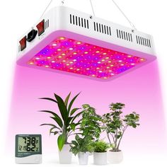 an image of a plant growing in a grow light that is on top of a table