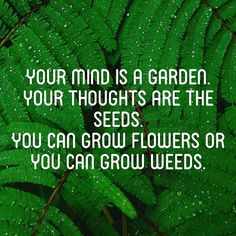 a green leaf with the words your mind is a garden your thoughts are the seeds you can grow flowers or you can grow weeds