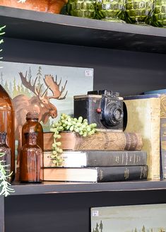 books and other items on a shelf in a room with glass vases, plants and bottles