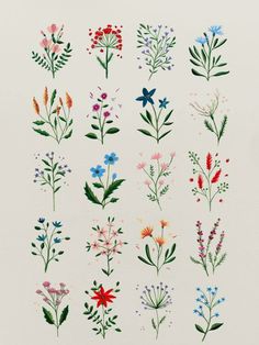 an image of flowers painted on paper