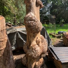 a tree stump that has been carved to look like a bear