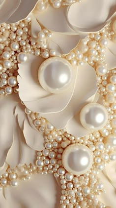 an image of white pearls and shells