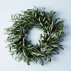 an olive wreath on a blue background