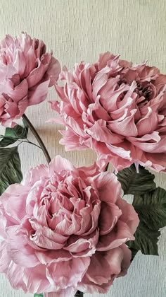 three pink flowers are in a vase on a white tableclothed wall behind them