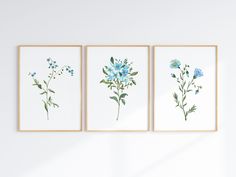 three blue flowers are hanging on the wall in front of a white wall with two wooden frames