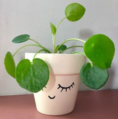 a potted plant with eyes drawn on it