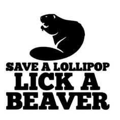 save a lollipop, lick a beaver sticker on a white background with black lettering