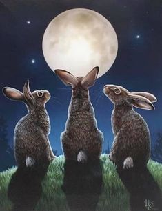 three rabbits sitting in the grass under a full moon with their backs turned to look like they are facing each other