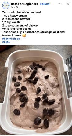 an ice cream dish with chocolate chips in it