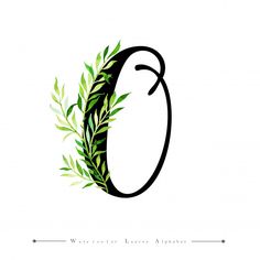 the letter o is made up of green leaves and has an elegant capital g on it