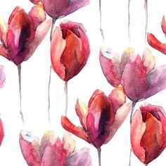 watercolor painting of red and pink tulips on a white background, with long stems in the foreground