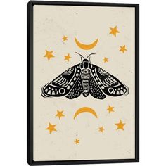 a moth with stars and crescents on it's back, against a white background