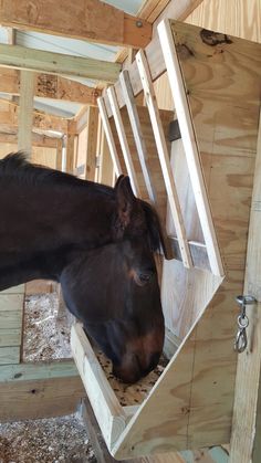 two horses are eating out of their stalls in the barn, while one horse is sticking its head into the stall