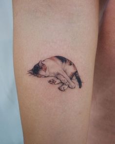 a small cat tattoo on the arm