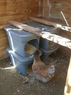 a chicken is standing next to a toilet in a coop with its door open and it's head sticking out