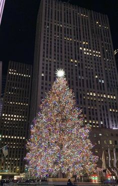 a large christmas tree in the middle of a city