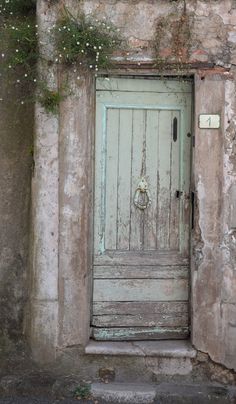 an old door with vines growing over it