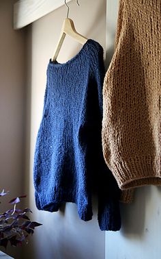 two sweaters hanging on a wall next to a potted plant