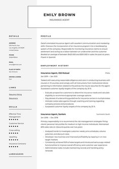 Insurance Agent Resume Example