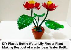 plastic bottle water lily flower plant making best out of waste ideas water bot