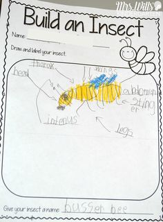 an insect project is shown with the words build an insect