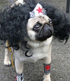 a pug dog dressed up in a wig and boots with a red star on it's head