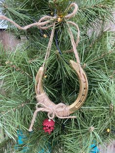 a christmas wreath hanging from the side of a tree