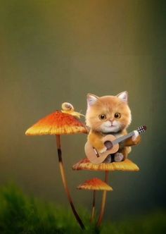 a cat sitting on top of a mushroom with a guitar