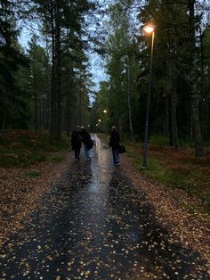 two people walking down a wet road in the woods