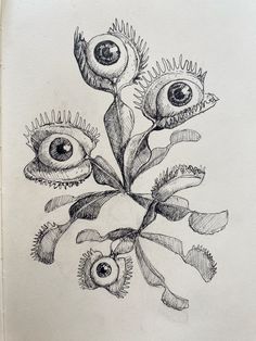 a drawing of an eye plant with leaves and flowers