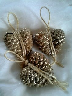 three pine cones are tied together with twine and string on a white cloth background